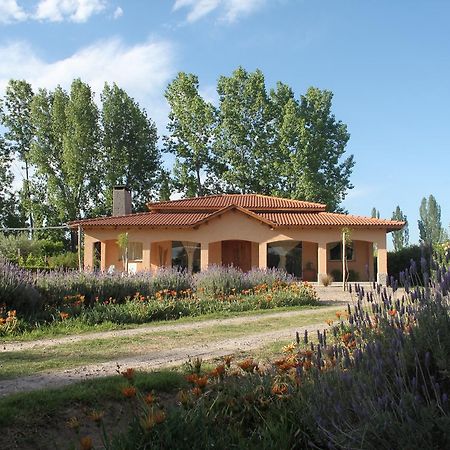 Willa Casona Aventurados Lujan de Cuyo Zewnętrze zdjęcie
